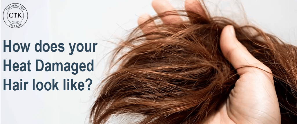 How Does Your Heat Damaged Hair Look Like?